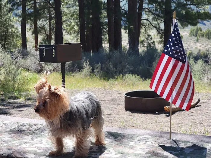 Alpine Meadow Campground Picture 7