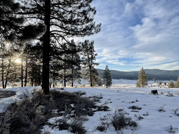 Alpine Meadow Campground Picture 1