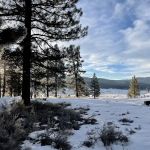 Alpine Meadow Campground
