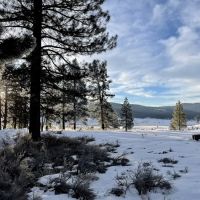 Alpine Meadow Campground ico