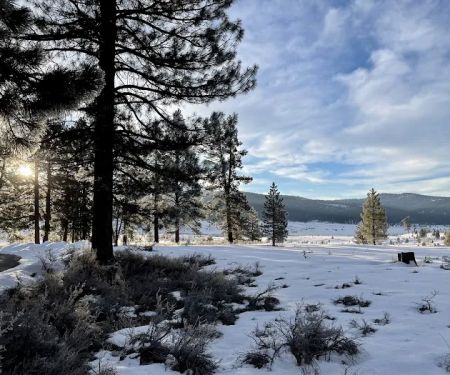 Alpine Meadow Campground