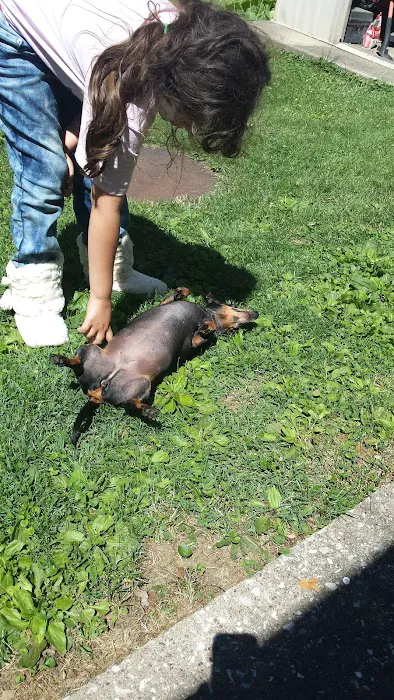 Paradise Manor Mobile Estates Picture 1