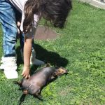 Paradise Manor Mobile Estates