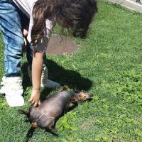 Paradise Manor Mobile Estates ico