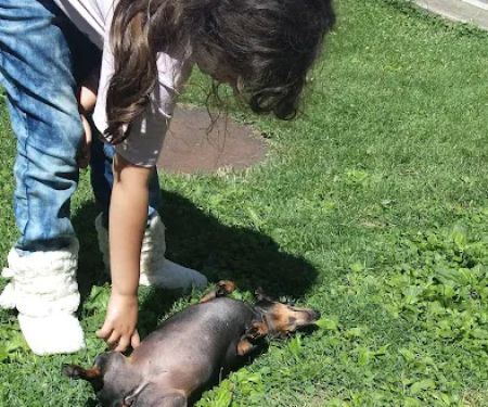 Paradise Manor Mobile Estates