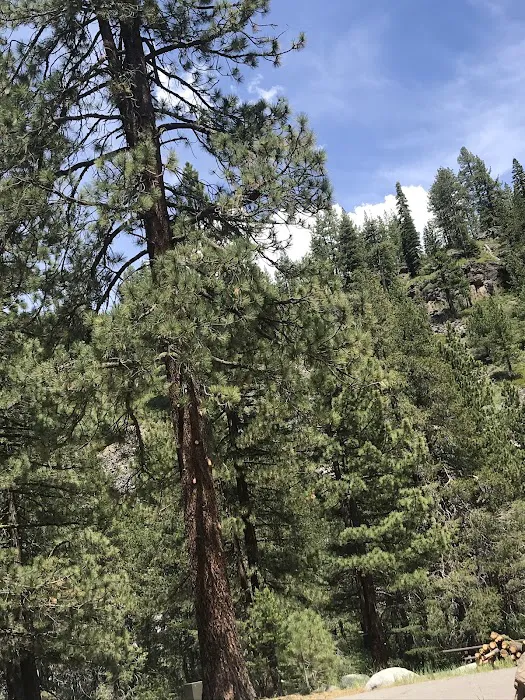 Granite Flat Campground Picture 8