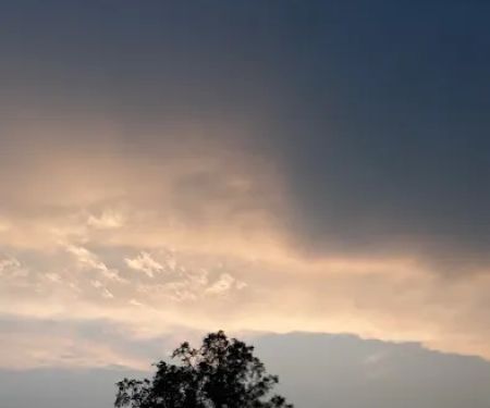 Springbrook Village Manufactured Home Community