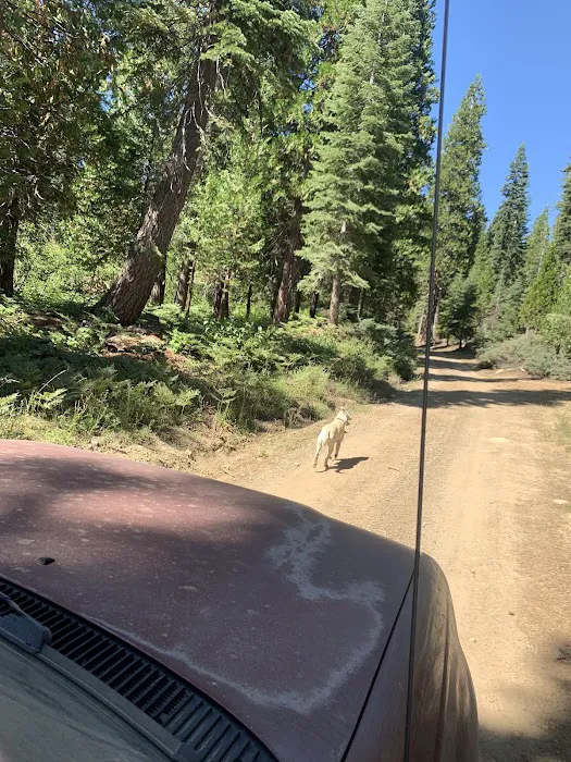 Onion Creek Campground Picture 1