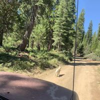 Onion Creek Campground ico