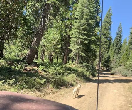 Onion Creek Campground