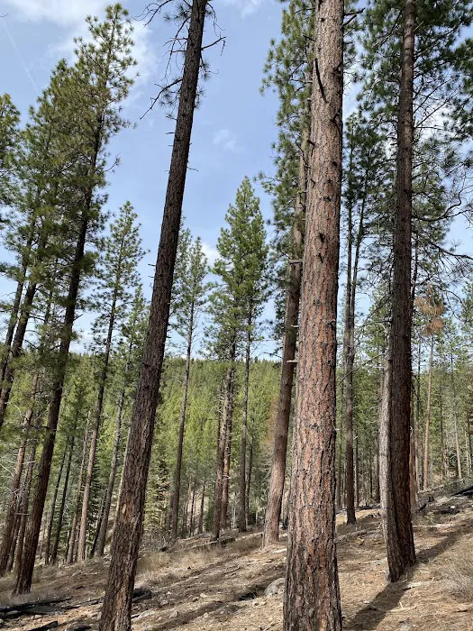 Martis Creek Dam Picture 2