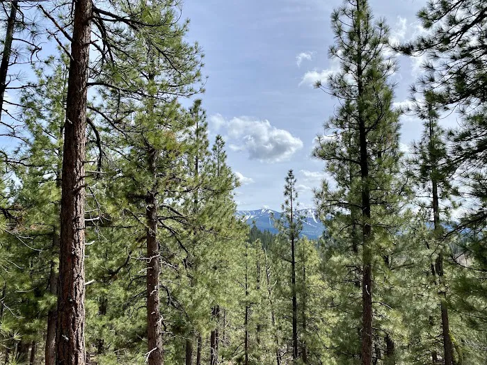 Martis Creek Dam Picture 3