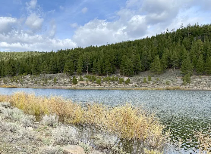 Martis Creek Dam Picture 1