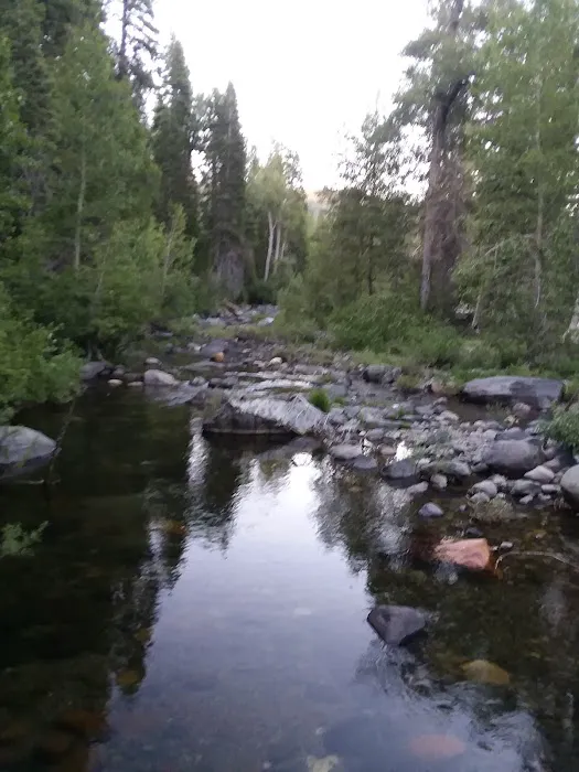 Talbot Campground Picture 7