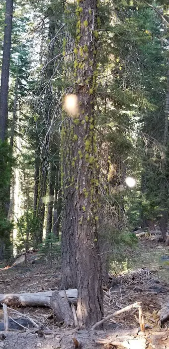 Talbot Campground Picture 8