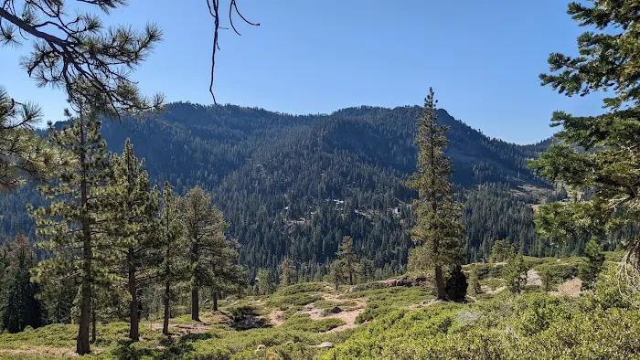 Goose Meadow Campground Picture 1