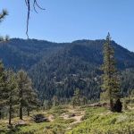 Goose Meadow Campground