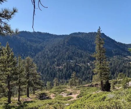 Goose Meadow Campground