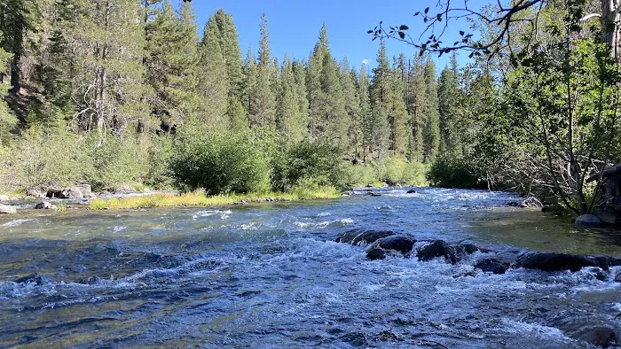 Goose Meadow Campground Picture 6