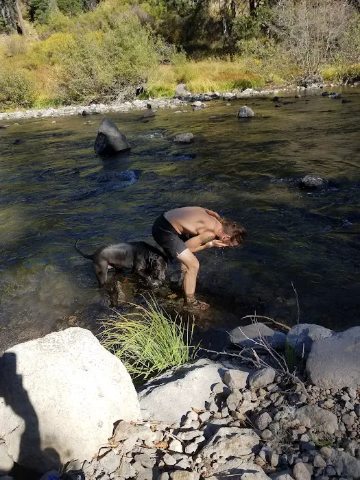 Goose Meadow Campground Picture 4