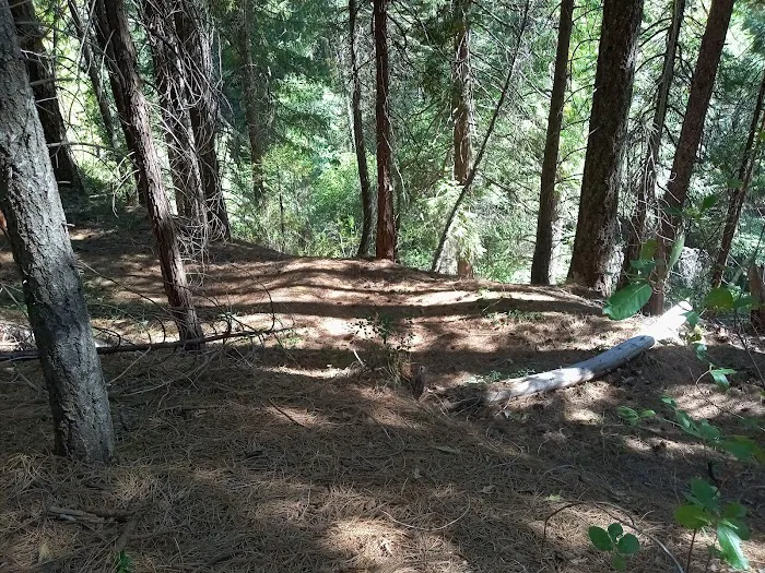 North Fork Campground Picture 8