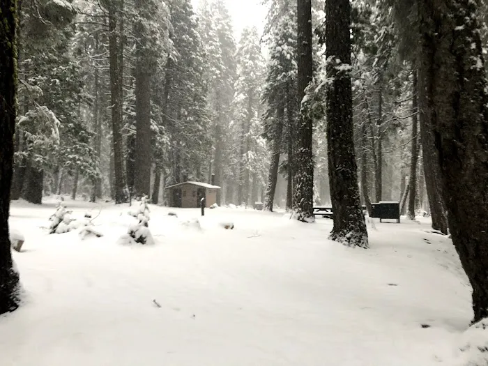 North Fork Campground Picture 4