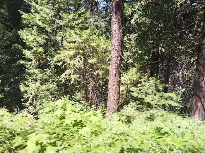 North Fork Campground Picture 10