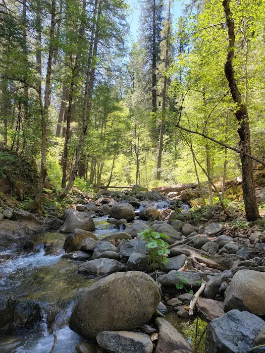 Onion Valley Campground Picture 5