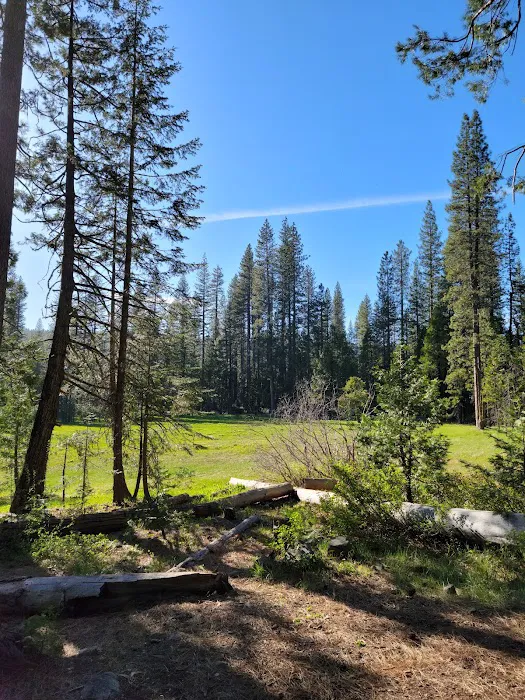 Onion Valley Campground Picture 7