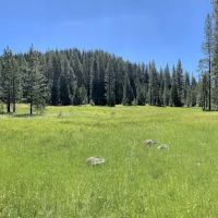 Onion Valley Campground ico