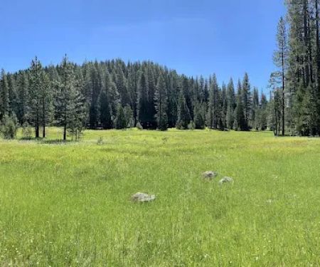 Onion Valley Campground