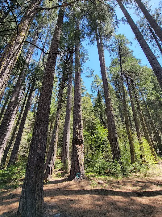 Onion Valley Campground Picture 2