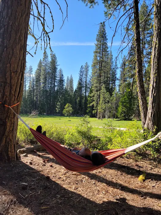 Onion Valley Campground Picture 4