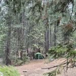 Tunnel Mills Group Campground