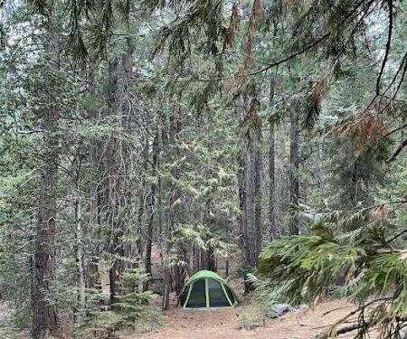 Tunnel Mills Group Campground