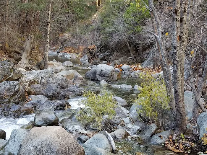 Tunnel Mills Group Campground Picture 9