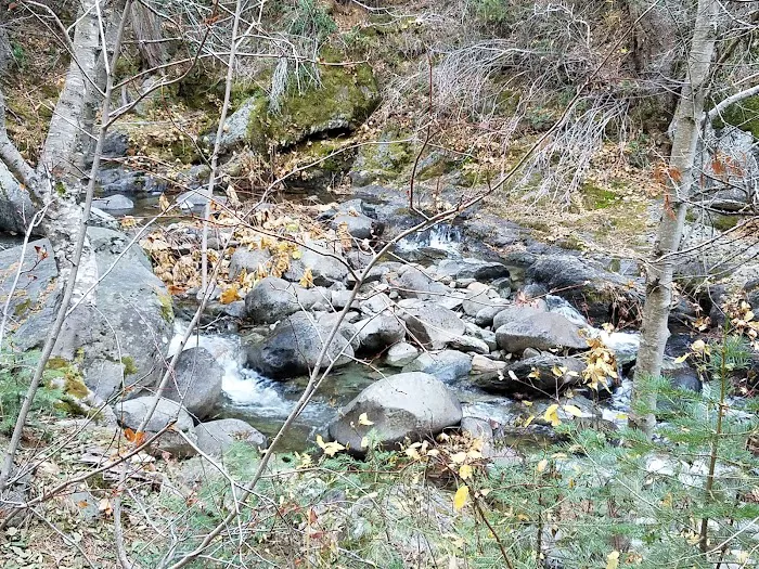 Tunnel Mills Group Campground Picture 7