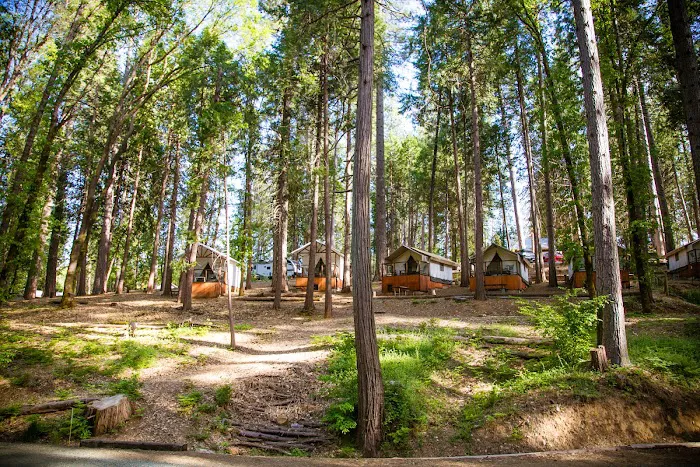 Inn Town Campground Picture 8