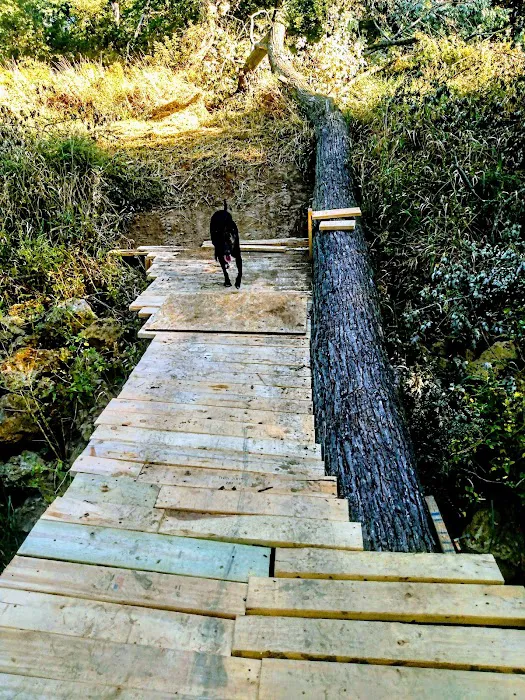 Wood Dale Mobile Home Park Picture 9