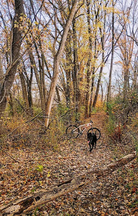 Wood Dale Mobile Home Park Picture 7