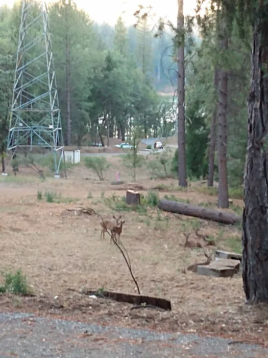 Peninsula Camping & Boating Picture 2