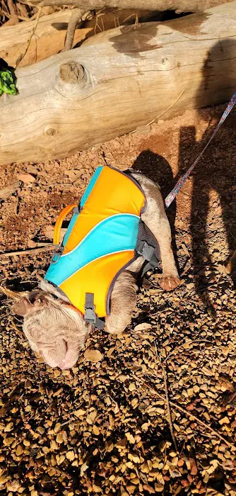 Peninsula Camping & Boating Picture 9