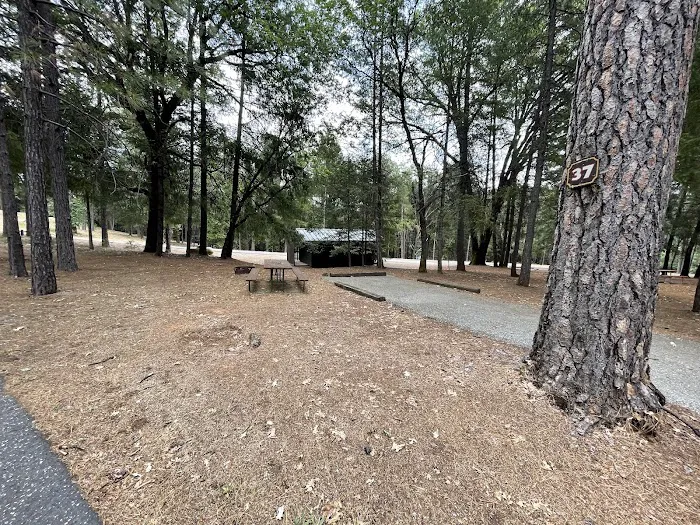 Peninsula Camping & Boating Picture 1