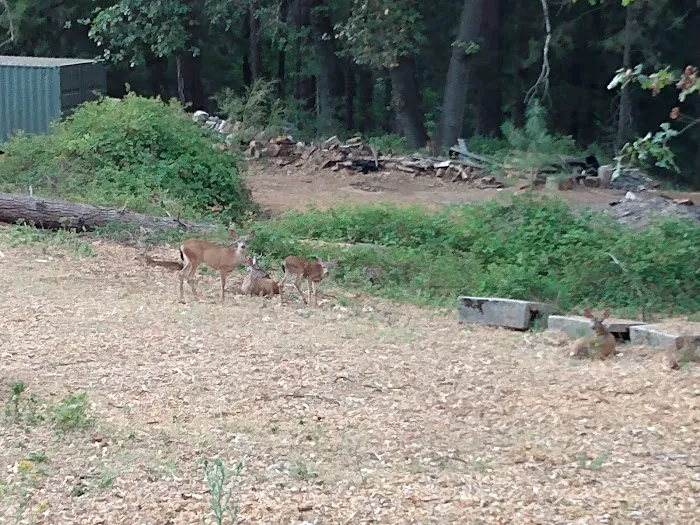 Peninsula Camping & Boating Picture 7