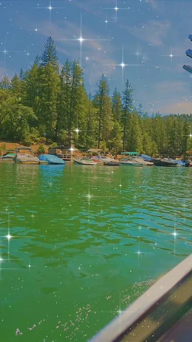 Long Ravine Campground Picture 3