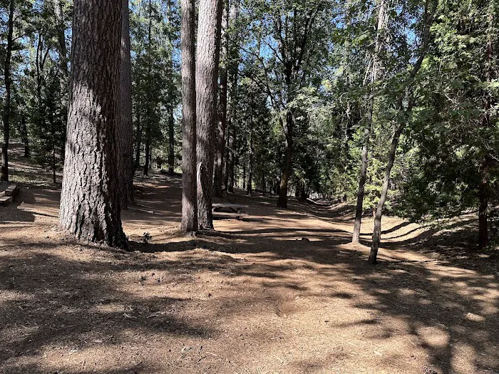 Long Ravine Campground Picture 10