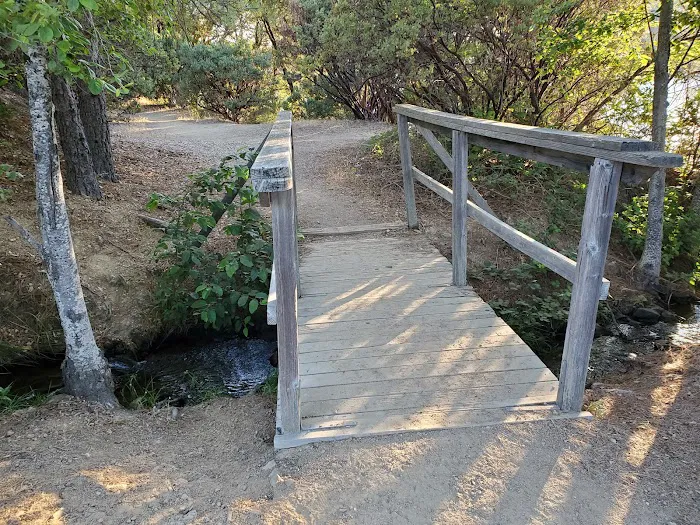 Orchard Springs Campground Picture 2