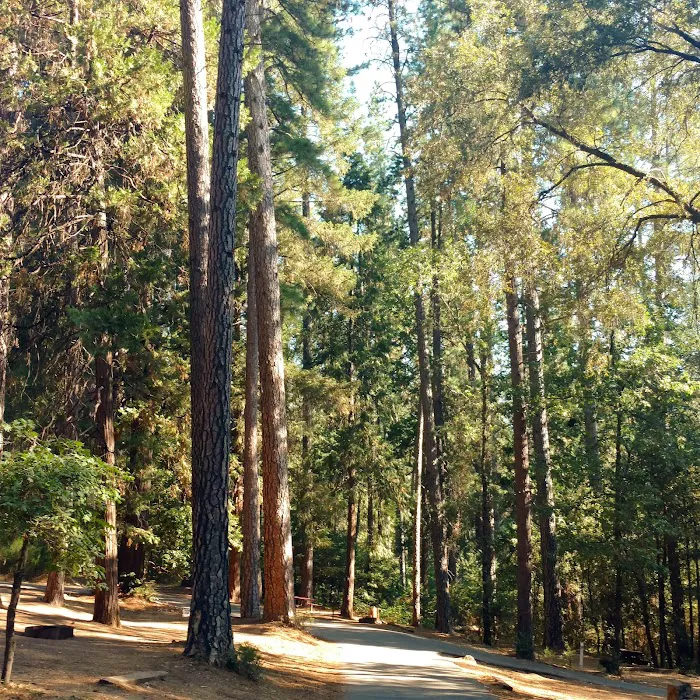 Orchard Springs Campground Picture 10