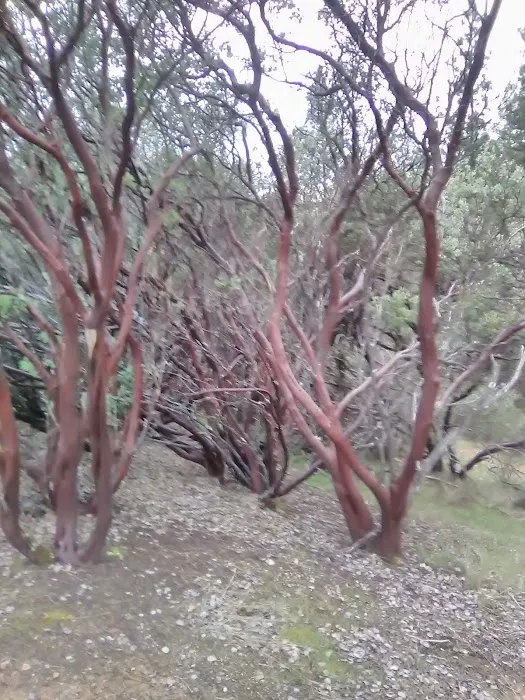Orchard Springs Campground Picture 9