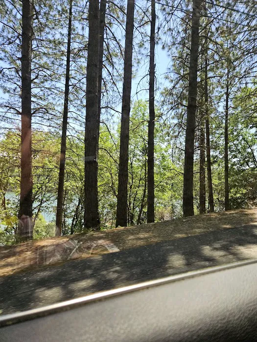 Orchard Springs Campground Picture 8